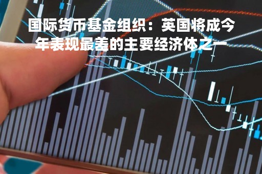 国际货币基金组织：英国将成今年表现最差的主要经济体之一