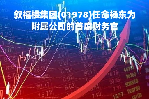 叙福楼集团(01978)任命杨东为附属公司的首席财务官
