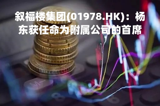 叙福楼集团(01978.HK)：杨东获任命为附属公司的首席财务官