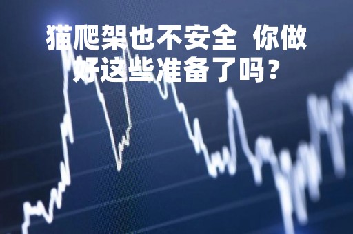 猫爬架也不安全  你做好这些准备了吗？