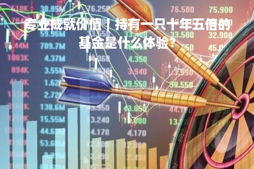 专业成就价值︱持有一只十年五倍的基金是什么体验？