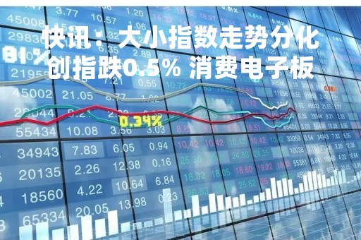 快讯：大小指数走势分化创指跌0.5% 消费电子板块活跃