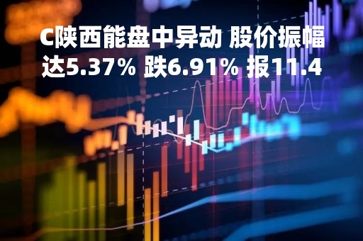 C陕西能盘中异动 股价振幅达5.37% 跌6.91% 报11.44元