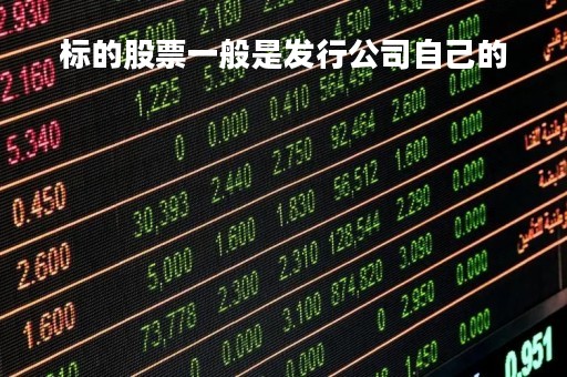 标的股票一般是发行公司自己的「公司发行股票是记名股票吗」
