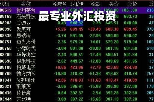 最专业外汇投资「外汇投资推荐」