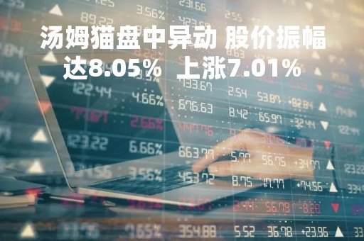汤姆猫盘中异动 股价振幅达8.05%  上涨7.01%