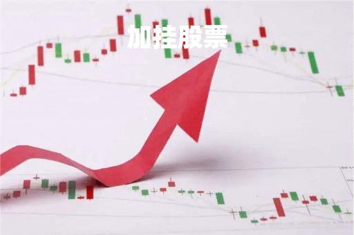 加挂股票「股票账户加挂账号是什么意思啊」