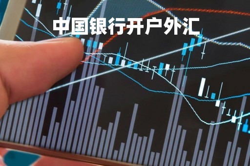 中国银行开户外汇「中国银行开户外汇怎么开」
