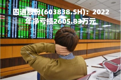 四通股份(603838.SH)：2022年净亏损2605.83万元