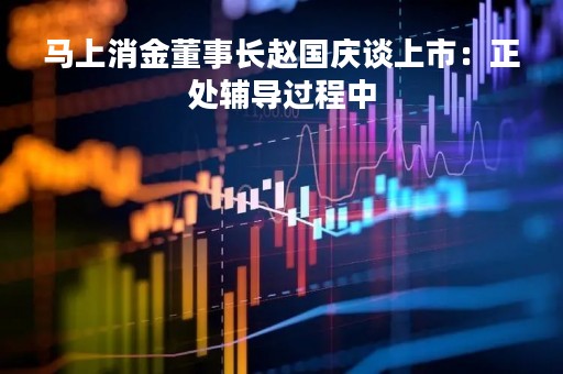 马上消金董事长赵国庆谈上市：正处辅导过程中