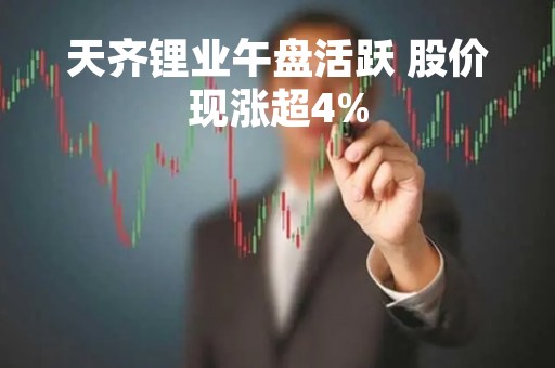 天齐锂业午盘活跃 股价现涨超4%