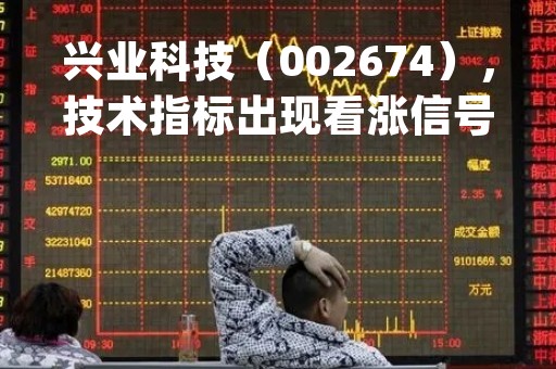 兴业科技（002674），技术指标出现看涨信号-KDJ 低位金叉（04-11）