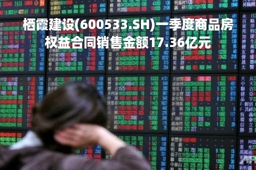 栖霞建设(600533.SH)一季度商品房权益合同销售金额17.36亿元