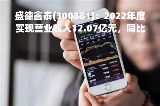 盛德鑫泰(300881)：2022年度实现营业收入12.07亿元，同比增加7.47%