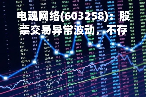 电魂网络(603258)：股票交易异常波动，不存在应披露而未披露的重大信息说明