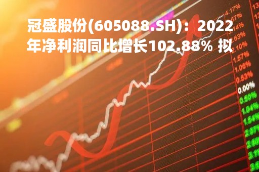 冠盛股份(605088.SH)：2022年净利润同比增长102.88% 拟10派5元