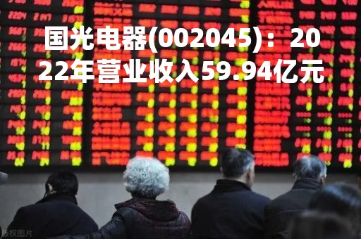 国光电器(002045)：2022年营业收入59.94亿元，与上期同比增加24.47%