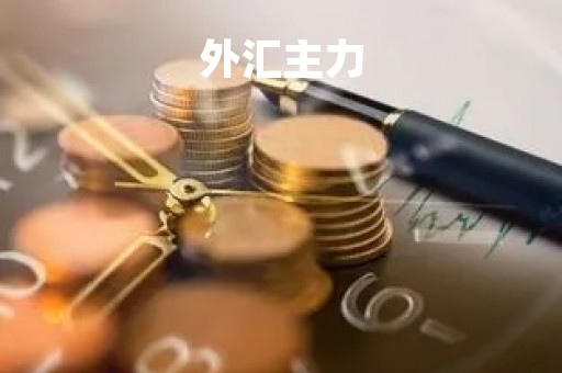外汇主力「外汇主力用真实成交量指标」
