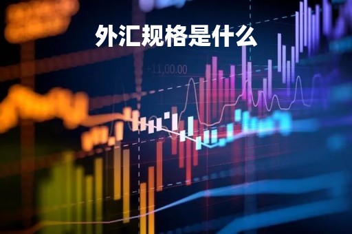 外汇规格是什么「外汇对照表」