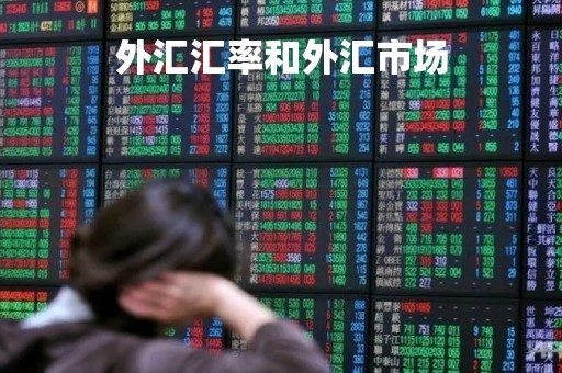 外汇汇率和外汇市场「外汇汇率和外汇市场价格关系」