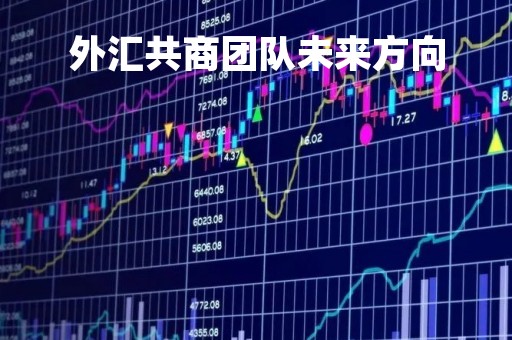 外汇共商团队未来方向「外汇交易团队」