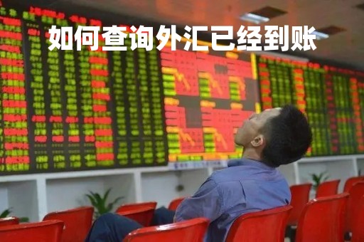 如何查询外汇已经到账「如何查询外汇已经到账的钱」