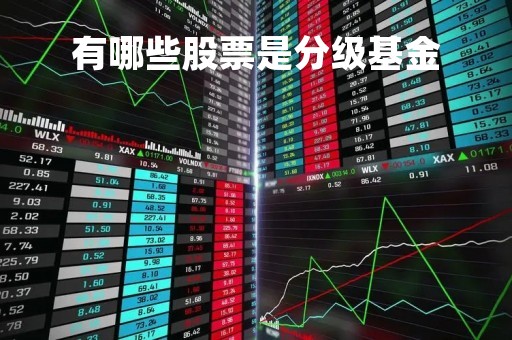 有哪些股票是分级基金「分级股票型基金」