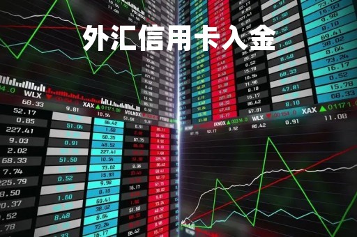 外汇信用卡入金「外汇信用卡入金吗」