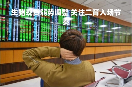生猪现货弱势调整 关注二育入场节奏