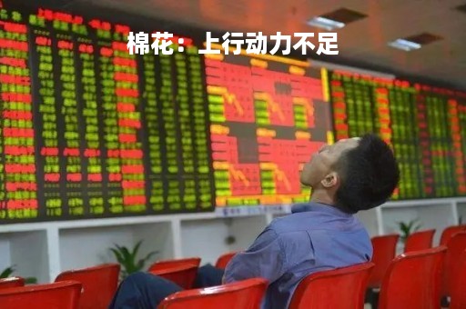 棉花:上行动力不足