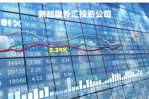 新加坡外汇投资公司「新加坡外汇交易市场」