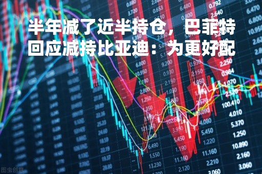 半年减了近半持仓，巴菲特回应减持比亚迪：为更好配置资金，不急于减持