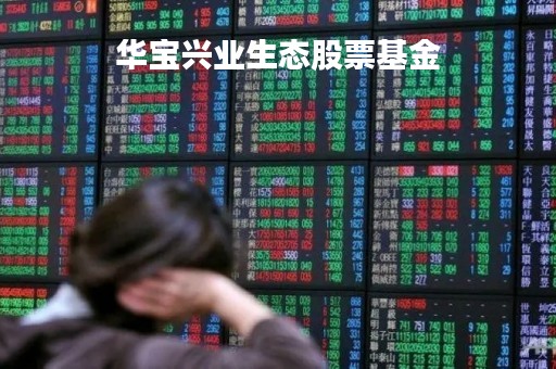 华宝兴业生态股票基金「华宝兴业基金240008」