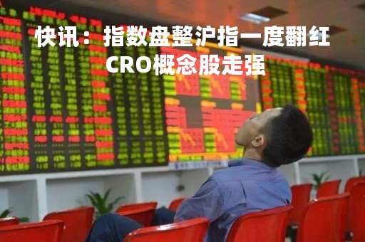 快讯：指数盘整沪指一度翻红 CRO概念股走强