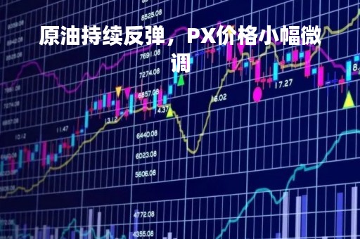 原油持续反弹，PX价格小幅微调