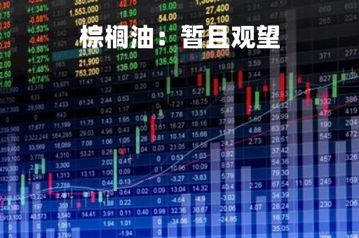 棕榈油：暂且观望