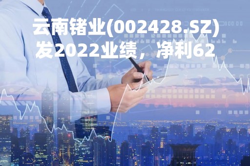 云南锗业(002428.SZ)发2022业绩，净利6240.29万元，同比由盈转亏