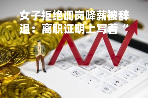 女子拒绝调岗降薪被辞退：离职证明上写着“简历造假” 当事人难就业