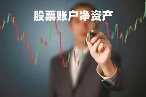 股票账户净资产「股票账户净资产怎么查询明细」