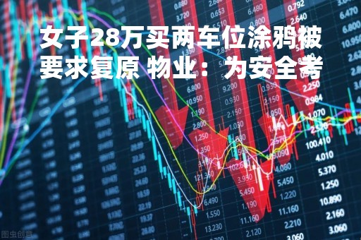 女子28万买两车位涂鸦被要求复原 物业：为安全考虑