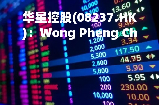 华星控股(08237.HK)：Wong Pheng Cheong Martin已由星展银行委任为接管人及管理人