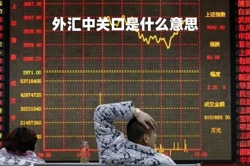 外汇中关口是什么意思「关口汇率高还是银行汇率高」