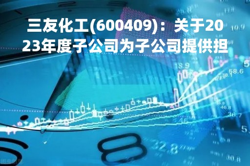 三友化工(600409)：关于2023年度子公司为子公司提供担保的公告
