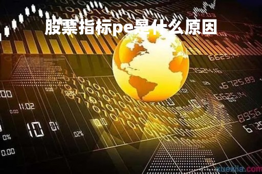 股票指标pe是什么原因「股票指数pe是什么意思」