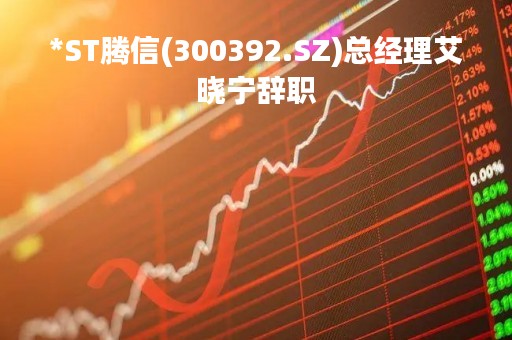 *ST腾信(300392.SZ)总经理艾晓宁辞职