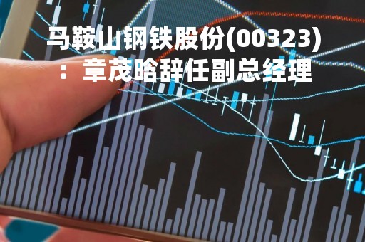 马鞍山钢铁股份(00323):章茂晗辞任副总经理 马鞍山钢铁股份(00323):章茂晗辞任副总经理