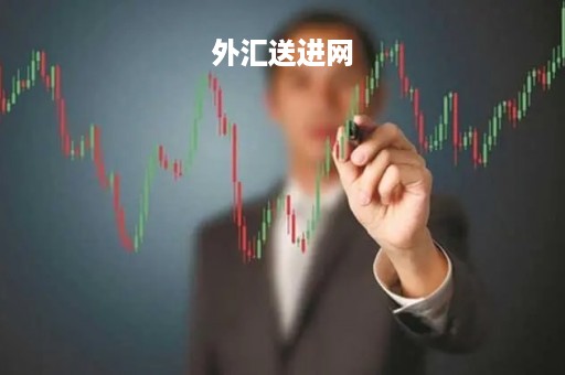 外汇送进网「外汇网络平台」