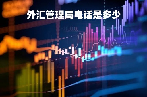 外汇管理局电话是多少「外汇局的电话咨询电话」