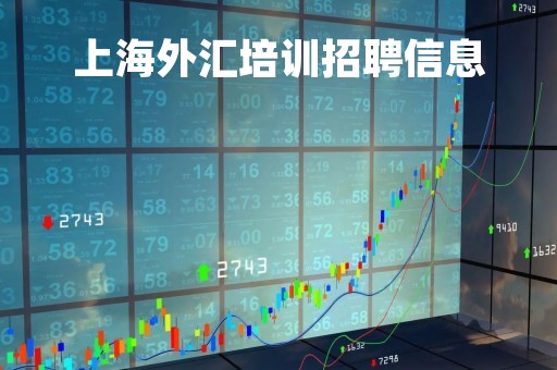 上海外汇培训招聘信息「上海外汇交易所 招聘」