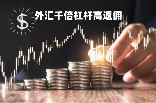 外汇千倍杠杆高返佣「外汇千倍杠杆高返佣金高吗」